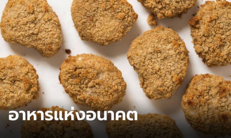 สิงคโปร์ไฟเขียวขาย เนื้อไก่เพาะเลี้ยง ประเทศแรกในโลก